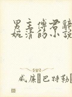 男主傅君辞女主婉清的小说