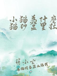 小猫为什么不在猫砂盆里拉屎撒尿