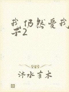 我仍然爱我的妻子2