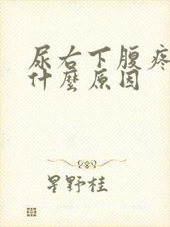 尿右下腹疼痛是什么原因