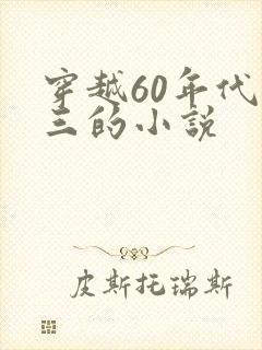 穿越60年代严三的小说