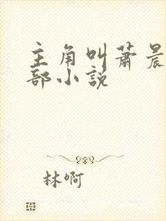 主角叫萧晨的全部小说