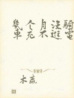 几个月没骑电动车充不进电