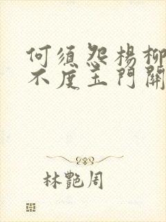 何须怨杨柳春风不度玉门关