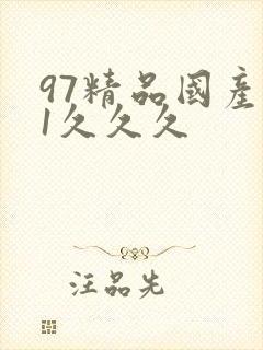 97精品国产91久久久