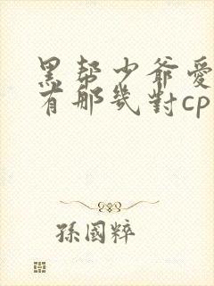 黑帮少爷爱上我有那几对cp