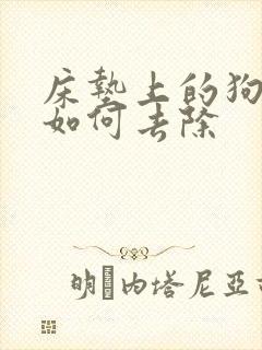 床垫上的狗尿味如何去除