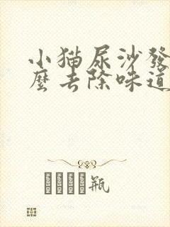 小猫尿沙发上怎么去除味道