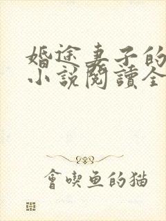 婚途妻子的秘密小说阅读全文