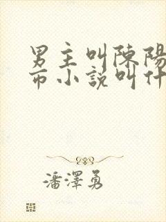 男主叫陈阳的都市小说叫什么