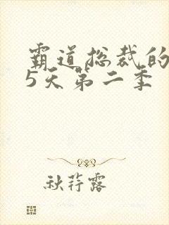 霸道总裁的365天第二季