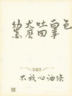 幼犬吐白色泡沫怎么回事