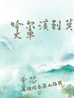 哈尔滨到莫河的火车