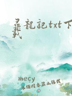 寻龙记txt下载