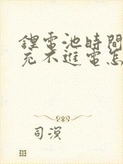 锂电池时间久了充不进电怎么办