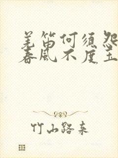 羌笛何须怨杨柳春风不度玉门关地理