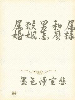 属猴男和属龙女婚姻怎么样