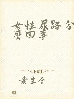 女性尿路分叉怎么回事
