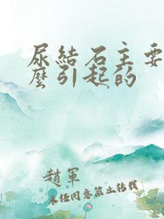 尿结石主要是什么引起的