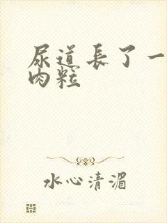 尿道长了一些小肉粒