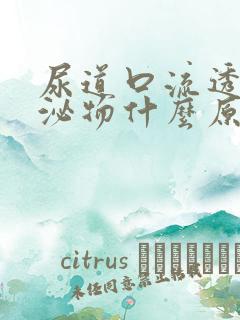 尿道口流透明分泌物什么原因男性