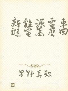 新能源电车充不进电怎么回事