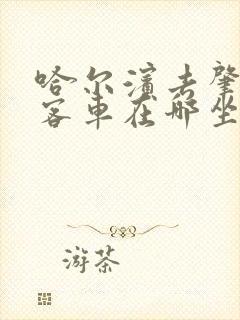 哈尔滨去肇东的客车在哪坐