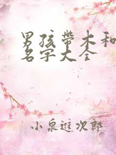 男孩带木和水的名字大全