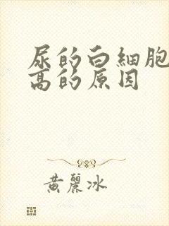 尿的白细胞计数高的原因