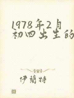 1978年2月初四出生的马一生命运