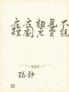 夜夜相见不识君短剧免费观看全集