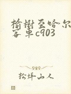 榆树至哈尔滨站客车c903