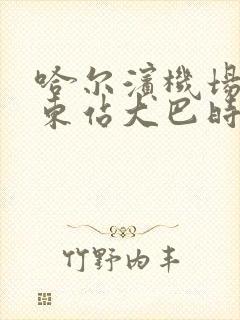 哈尔滨机场去哈东站大巴时间