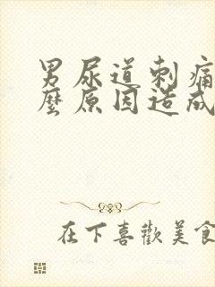 男尿道刺痛是什么原因造成的