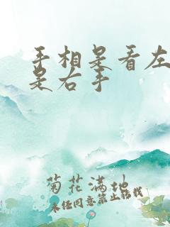 手相是看左手还是右手