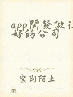 app开发做得好的公司