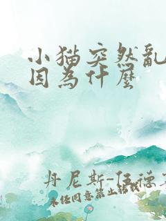 小猫突然乱尿是因为什么