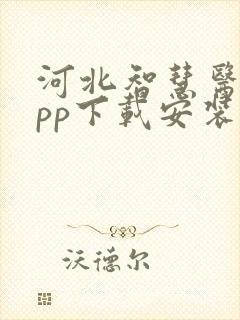 河北智慧医保app下载安装最新版