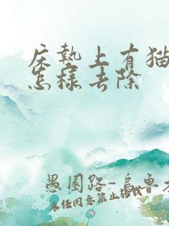 床垫上有猫尿味怎样去除