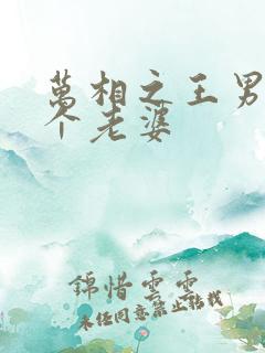 万相之王男主几个老婆