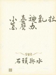 小泰迪乱拉乱尿怎么办