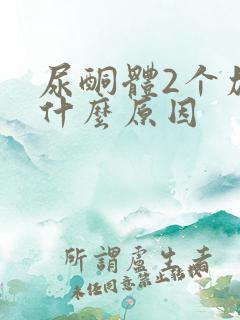 尿酮体2个加号什么原因