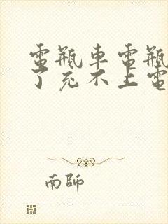 电瓶车电瓶放久了充不上电怎么办