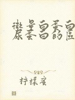 微量白蛋白尿和尿蛋白的区别