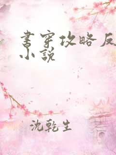 书穿攻略反派的小说