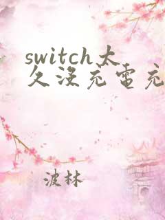 switch太久没充电充不上电