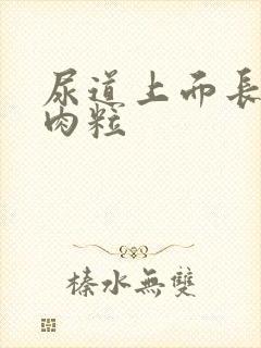 尿道上面长了小肉粒