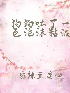 狗狗吐了一滩白色泡沫粘液还拉稀