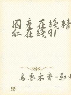 国产在线精品网红在线91