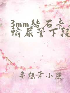 3mm结石卡在输尿管下段